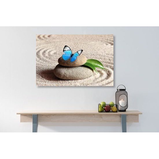 Kép csodálatos pillangó Zen csendéletben