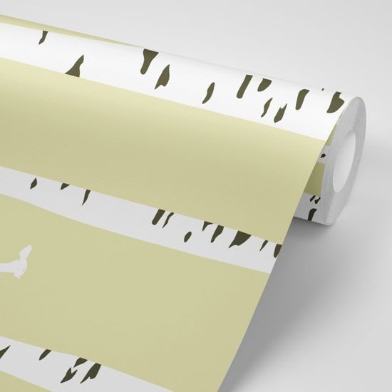 Öntapadó tapéta sűrű nyírfaliget