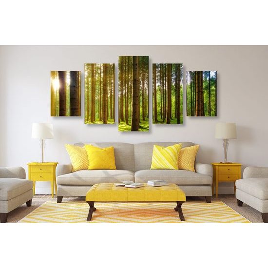 5 részes kép napsugarak a fák között