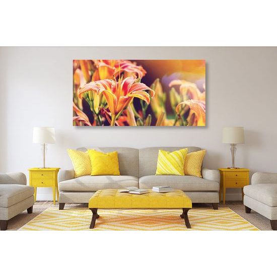 Kép lágy liliom a napsütésben