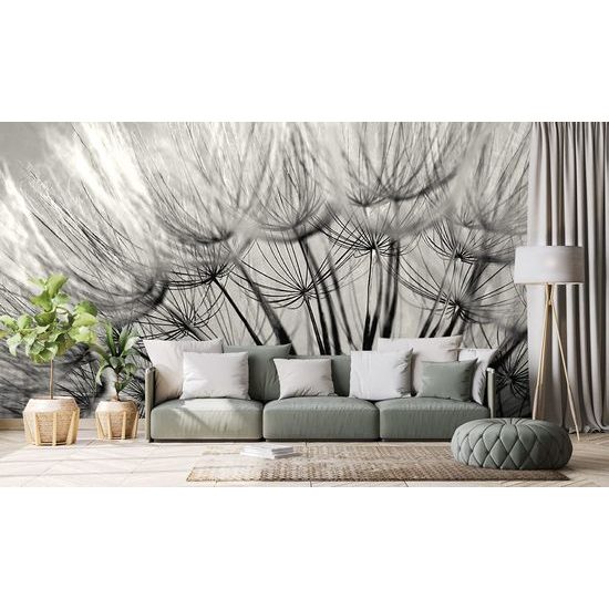 Öntapadó fotótapéta gyönyörű fekete-fehér pitypang magvak