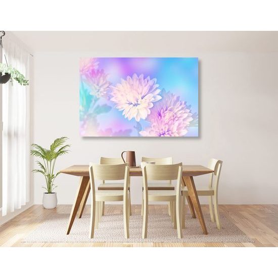 Kép krizantém csodálatos fehér virágai