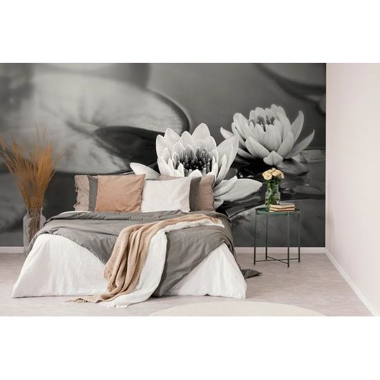 Tapéta lótuszvirág a tó felületén fekete-fehér kivitelben