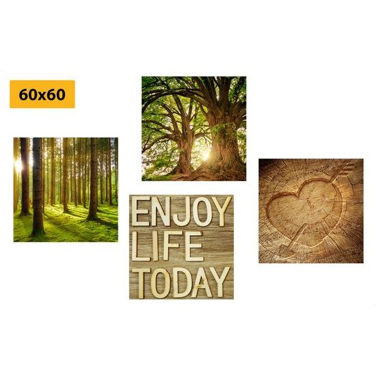 Képszett a természet szerelmeseinek