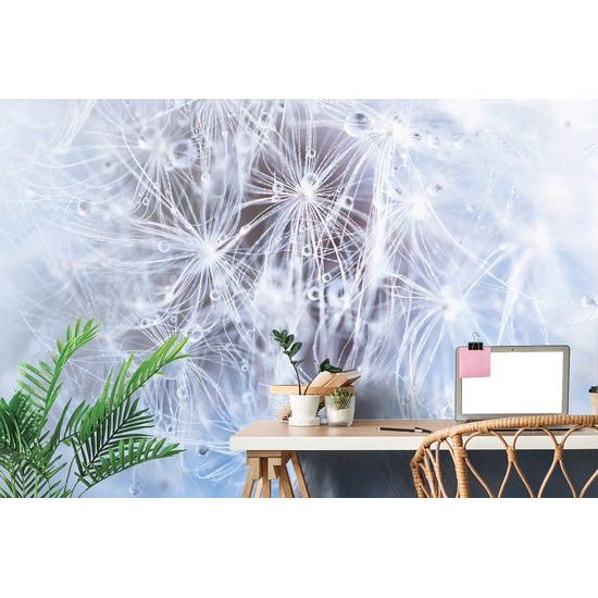 Pitypang mag öntapadó tapéta cseppekkel