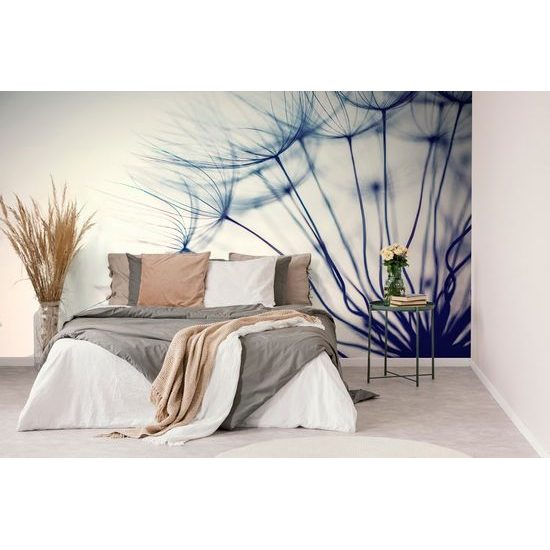 Öntapadó fotótapéta egyedülálló részlet egy pitypangról