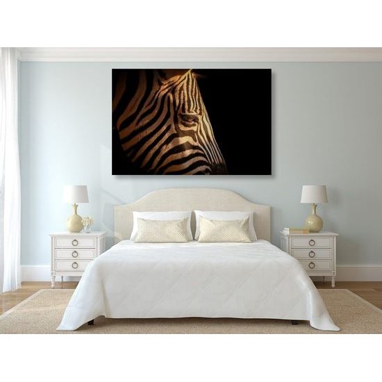 Kép zebra fejének részletei