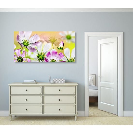 Kép virágok lágysága