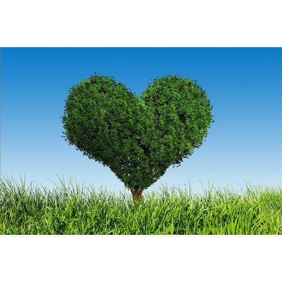 Öntapadó tapéta a szerelem fája