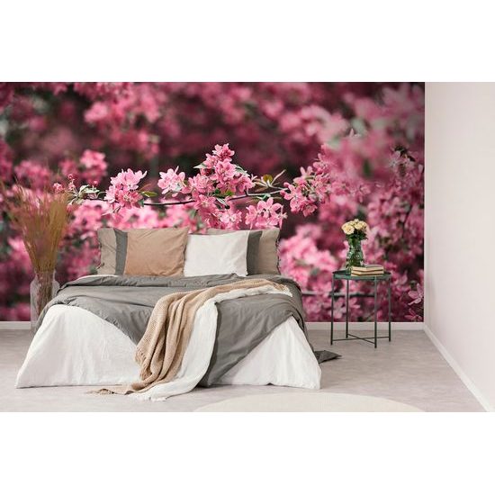 Gyönyörű cseresznyevirágos öntapadó tapéta