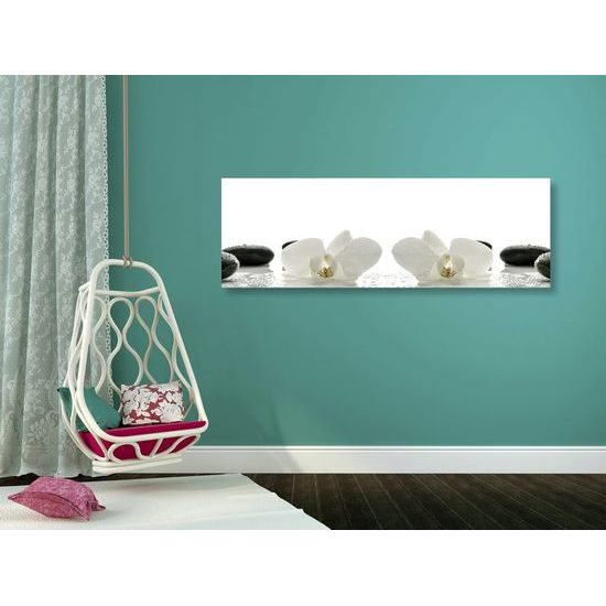 Kép orchidea virágai lágy kivitelben