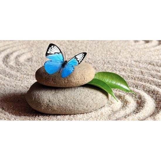 Kép csodálatos pillangó wellness csendéletben