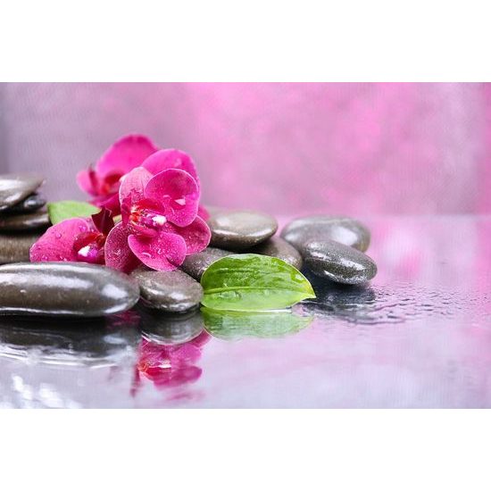 Öntapadó fotótapéta orchidea egy kis relaxációval