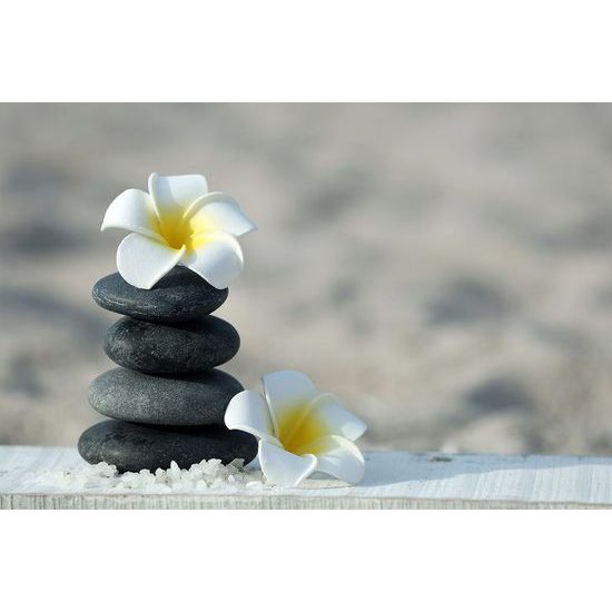 Fotótapéta gyönyörű plumeria virágok kövekkel