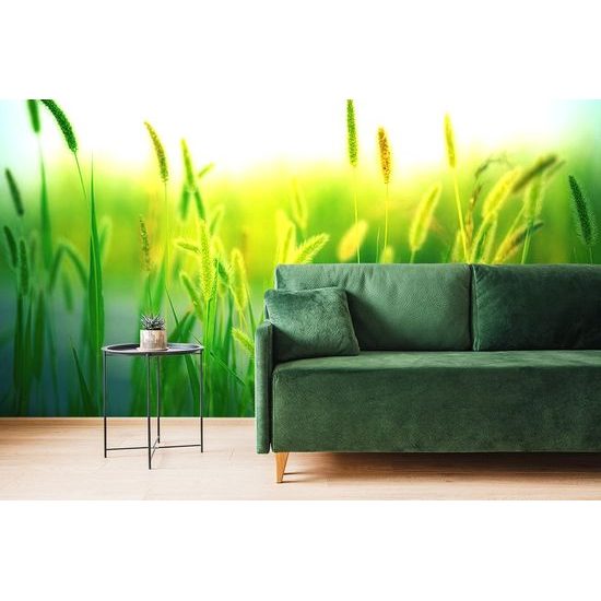 Fűszálas öntapadó tapéta egy csipetnyi zölddel