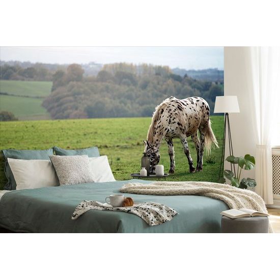 Öntapadó tapéta legelésző ló