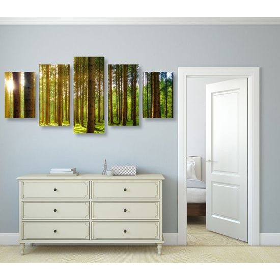 5 részes kép napsugarak a fák között