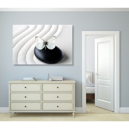 Kép pillangó és a fekete kő harmóniája