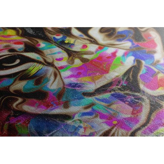 Kép sokszínű oroszlán