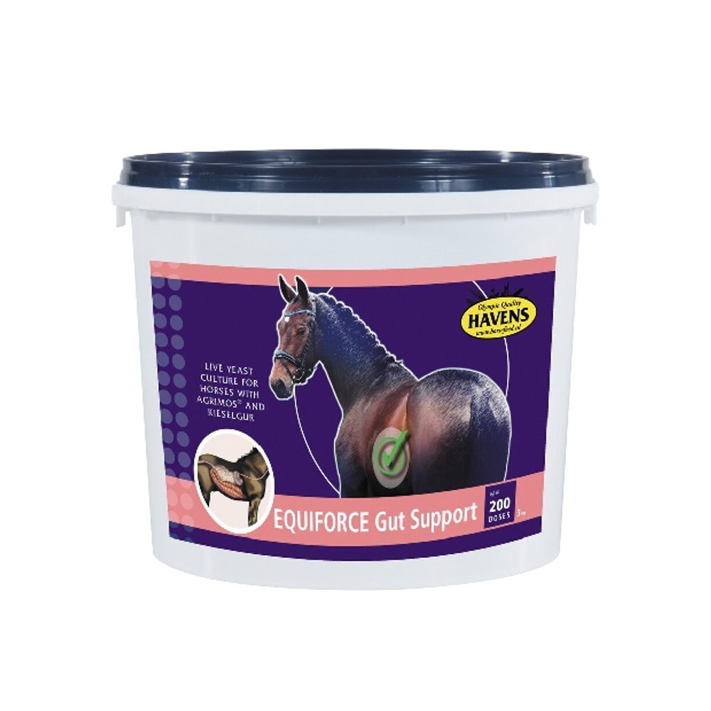 Havens EquiForce Gut Support - 1kg