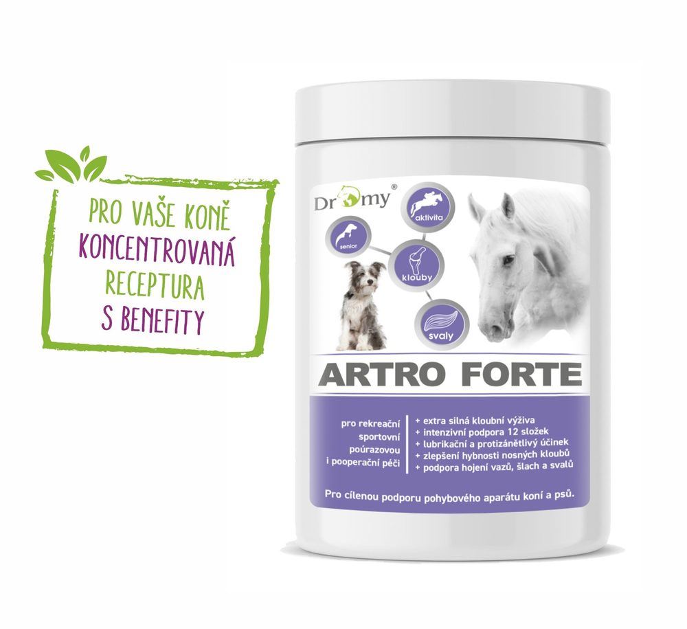 Dromy Artro Forte 900 g