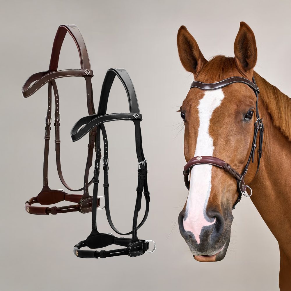 Uzdečka Dy'on Bitless WO - černá  Cob