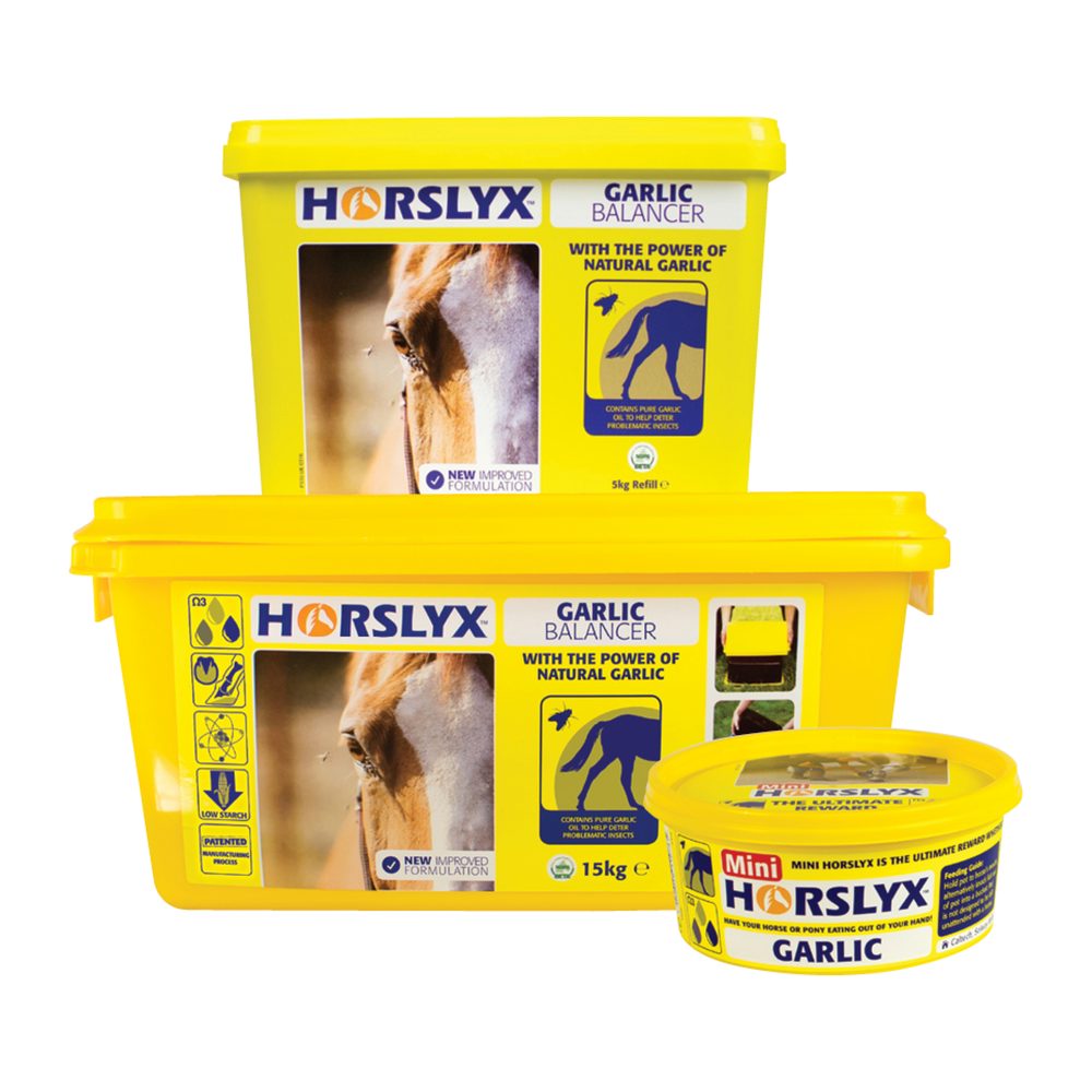 Horslyx minerální liz Garlic DOPRODEJ - 650g