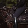 Podsedlová dečka Equestrian Stockholm Black Gold KOLEKCE 2023