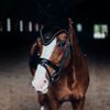 Čabraka na uši Equestrian Stockholm Black Gold KOLEKCE 2023