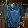 Plachta na box Equestrian Stockholm Blue Meadow Kolekce 2023