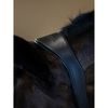 Ohlávka Equestrian Stockholm anatomic Leather Black edition Kolekce 2023/24