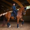 Podsedlová dečka Equestrian Stockholm Maze Modern Tech Navy KOLEKCE 2023