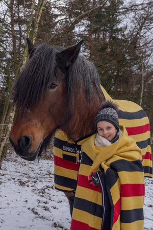 Testujeme pro vás - odpocovací deka Horseware Rambo Deluxe fleece