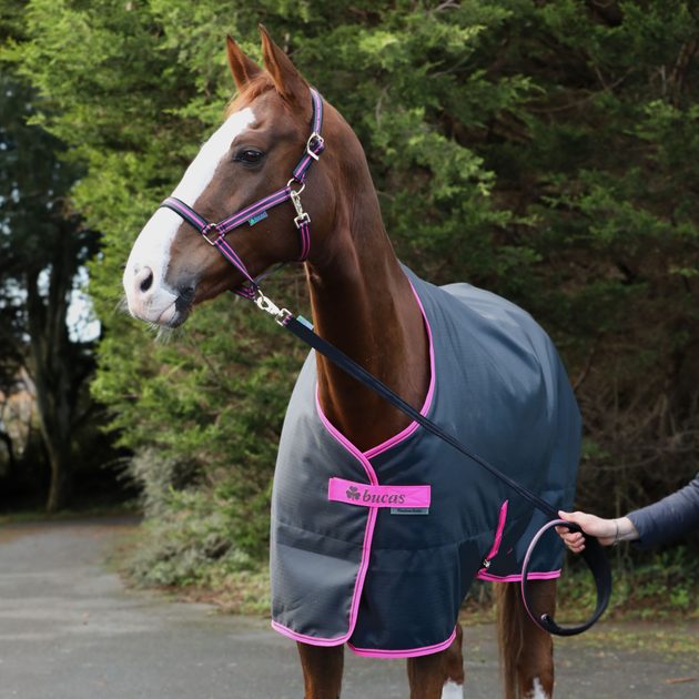 Tapis Anti-mouches Bucas Freedom - Rose Vif, Taille 5'9''