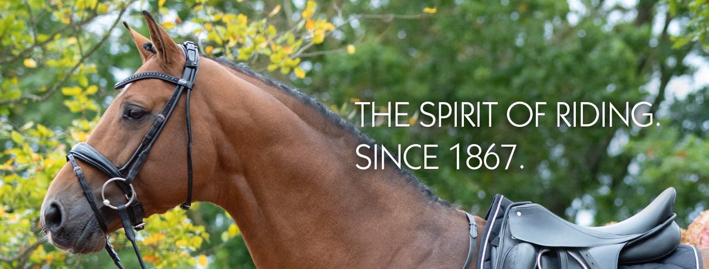 Seznamte se - PASSIER