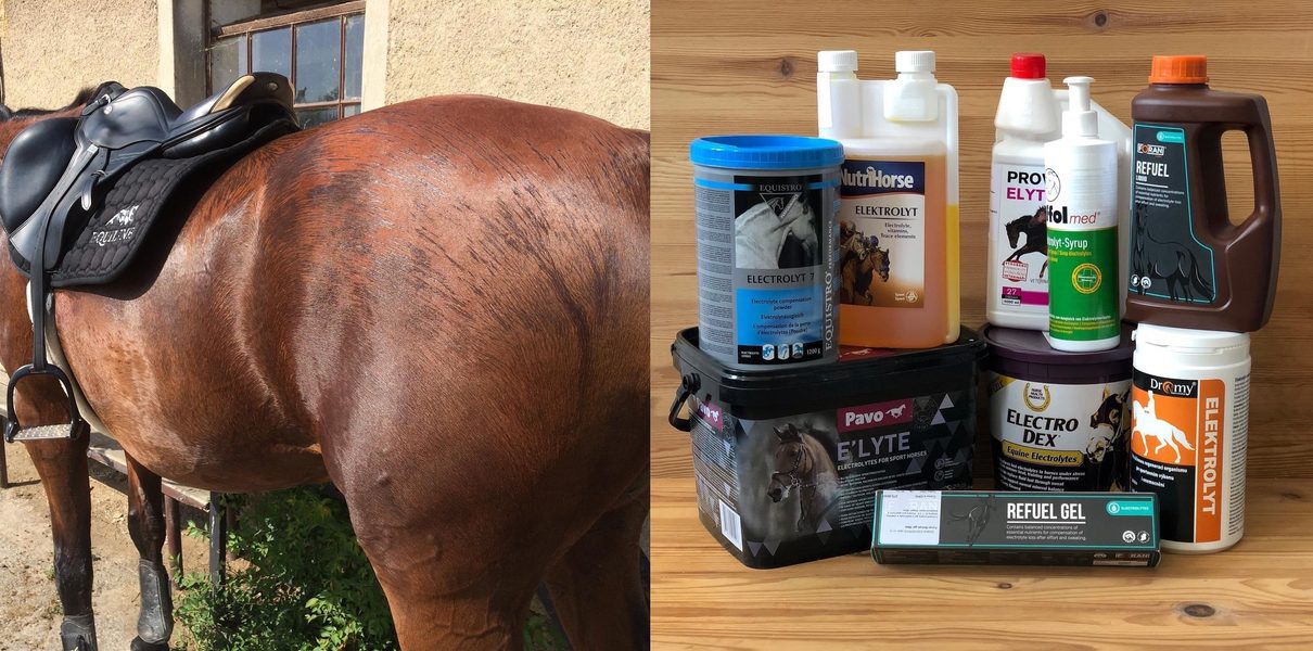 Potřebné elektrolyty