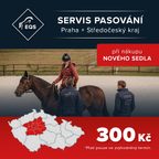 Pasování sedla za 300