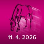 Akce pro kamenné prodejny!