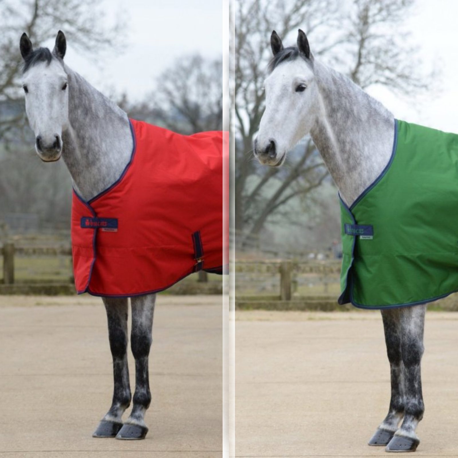 Bucas Freedom Stable 300g - Persian Red, 165, Persian Red