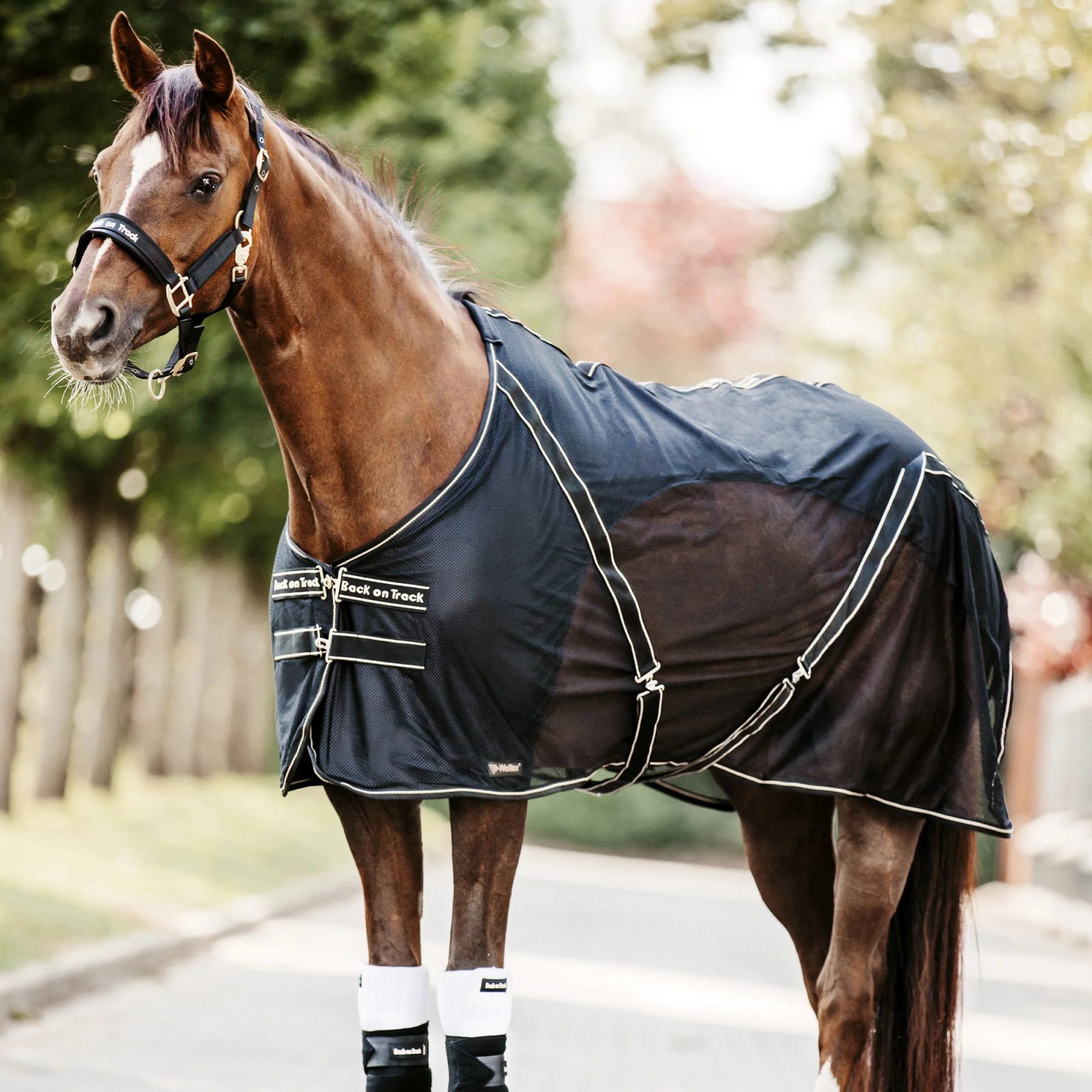 Cavezza Regolabile Per Cavalli Con Fodera In Pile, Cavezze Di Sicurezza - Foto 9