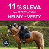 11 % SLEVA Bezpečnost