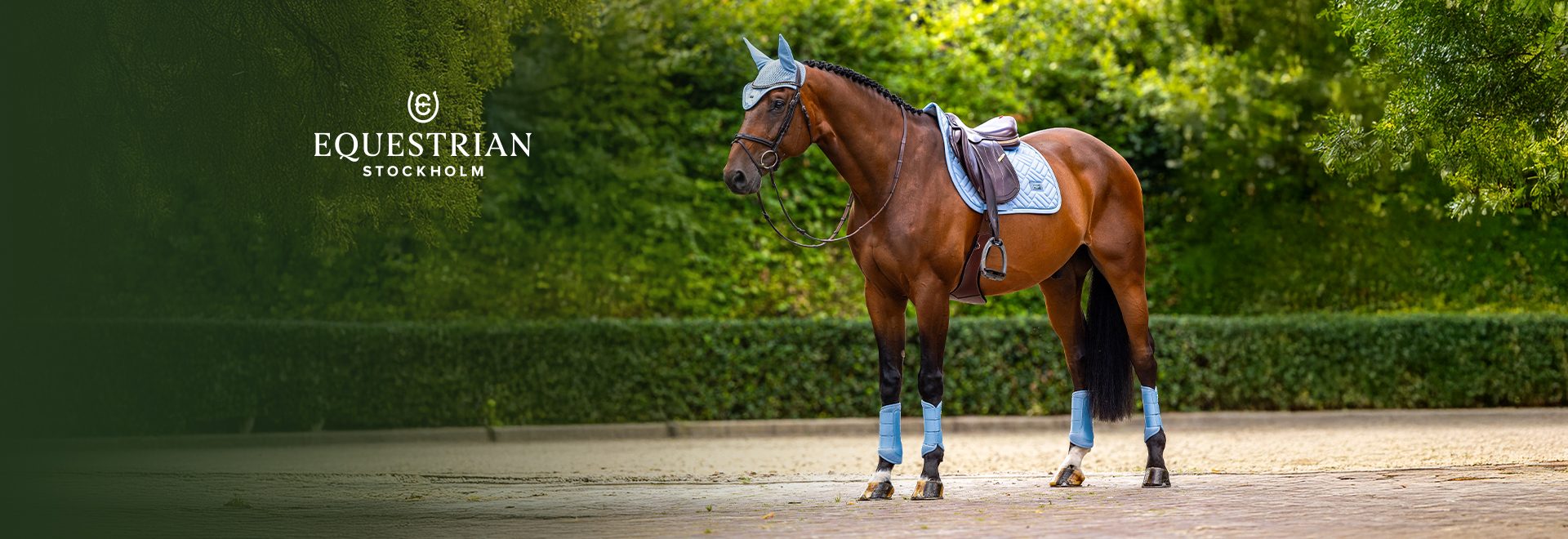 NOVÉ BARVY MIDSUMMER DREAM