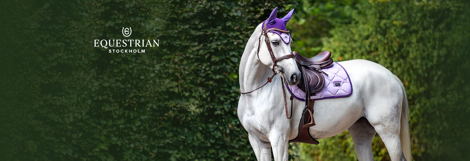 NOVÉ BARVY PASTEL FAVORITES