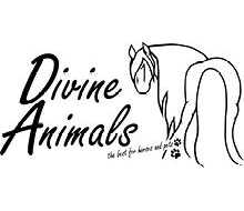 Divine Animals
