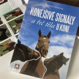 Publ Draaisma Konejšivé signály a řeč těla u koní-barevná verze