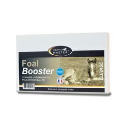 Horse MASTER Foal Booster pasta 15 ml