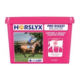 Horslyx minerální liz Pro Digest