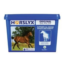 Horslyx minerální liz Original