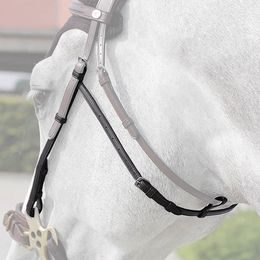 Dy'on lícnice hackamore EngCol NE03D