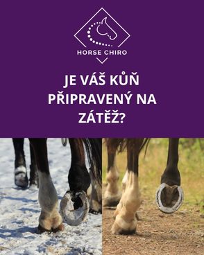 Zima zanechává na pohybovém aparátu koní specifické stopy. Měsíce v mrazu/blátě a omezený pohyb v boxu snižují elasticitu tkání